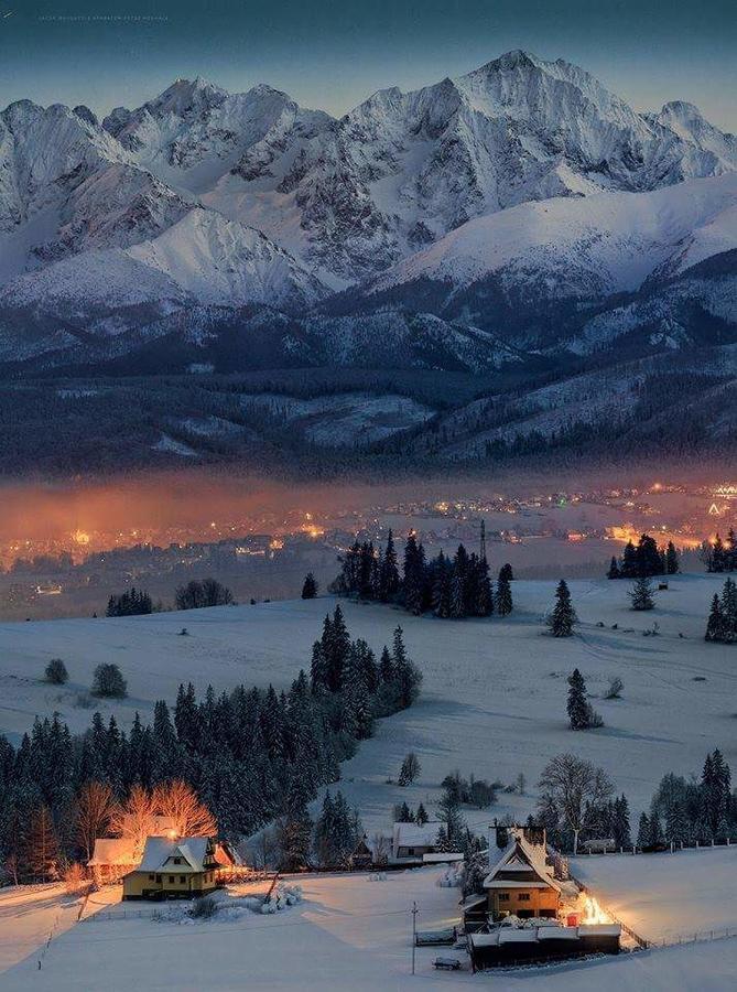 Willa 14 Закопане Экстерьер фото