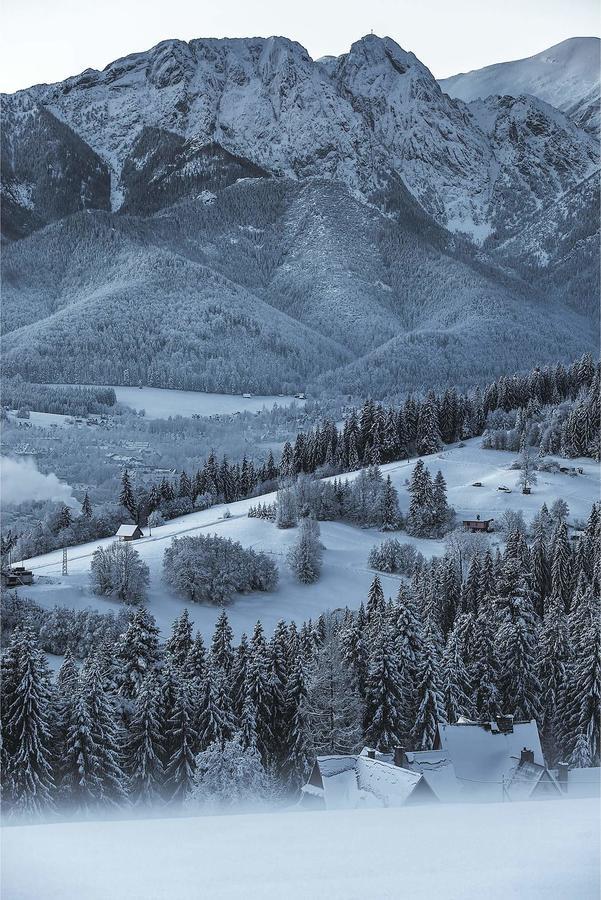 Willa 14 Закопане Экстерьер фото